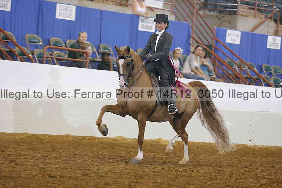 Proof Number 14r12_3050