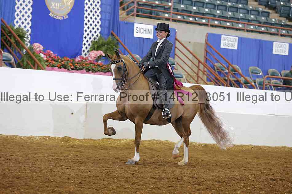 Proof Number 14r12_3051