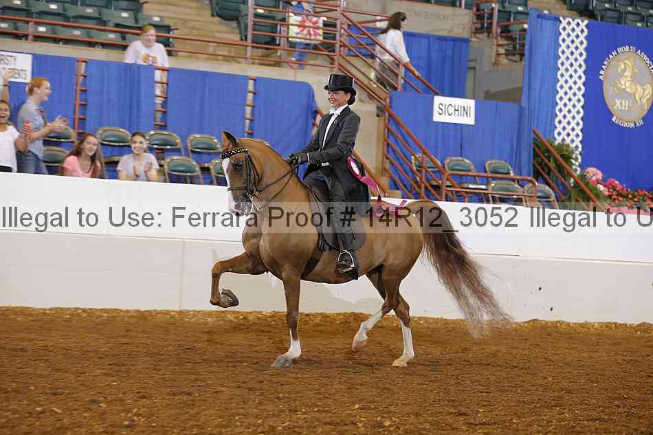 Proof Number 14r12_3052