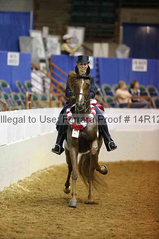 Proof Number 14r12_3060