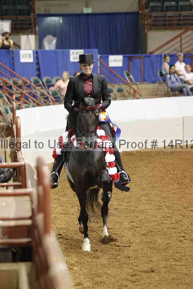 Proof Number 14r12_3061
