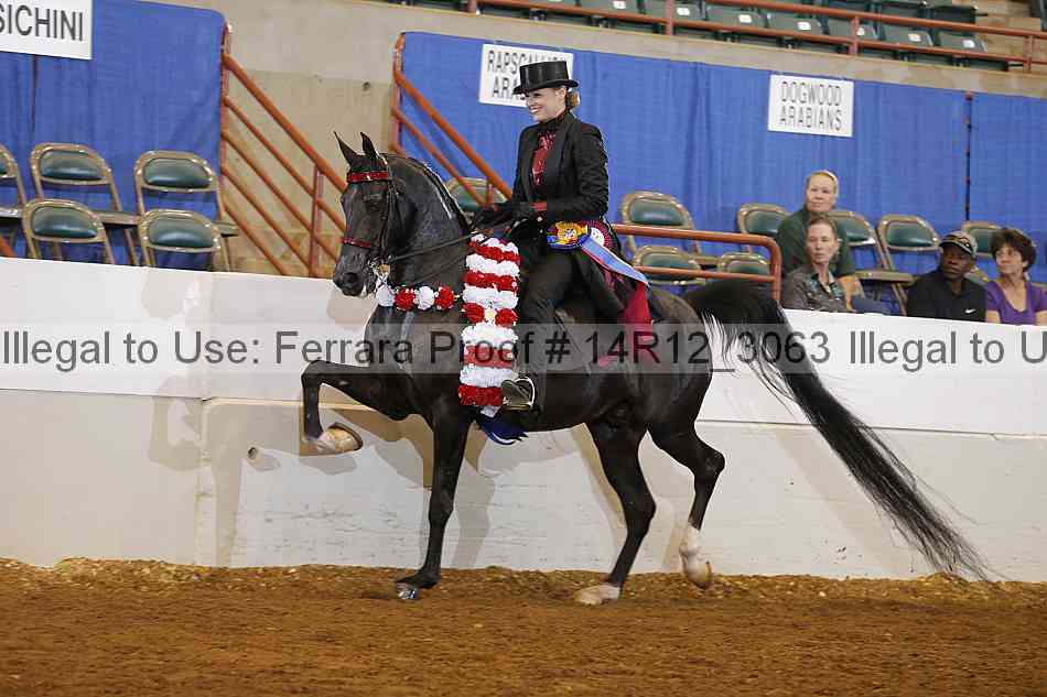 Proof Number 14r12_3063