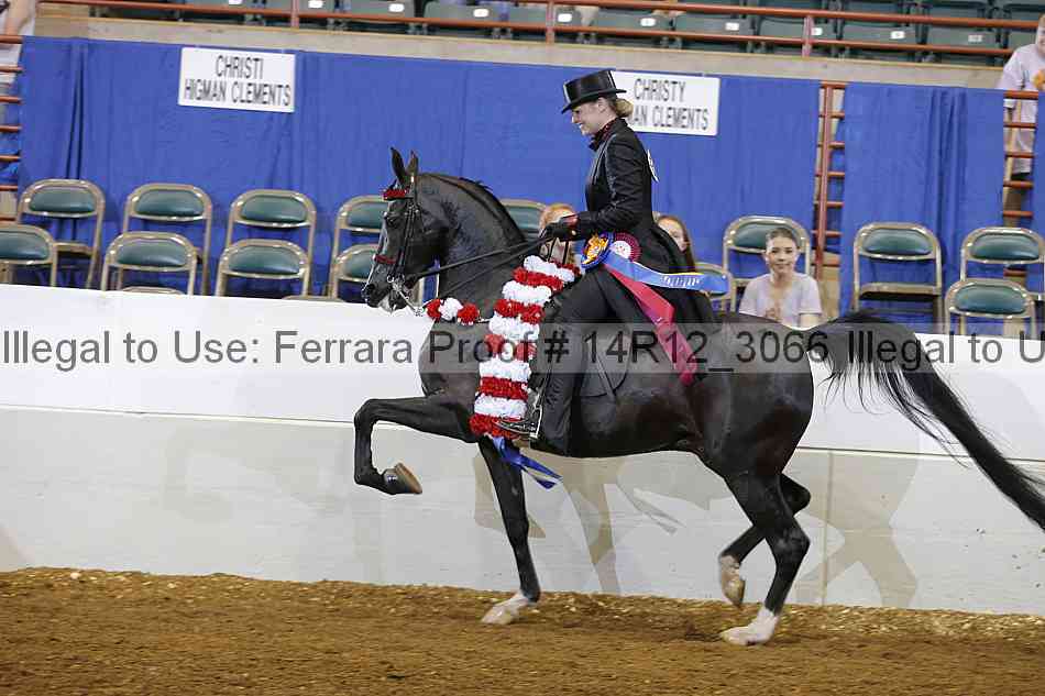 Proof Number 14r12_3066