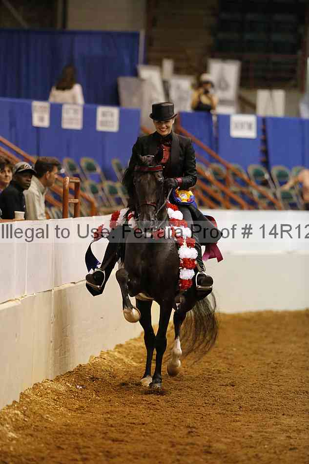 Proof Number 14r12_3068