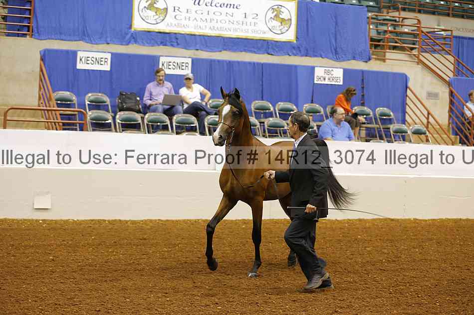 Proof Number 14r12_3074