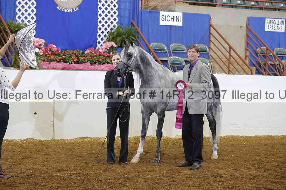 Proof Number 14r12_3097