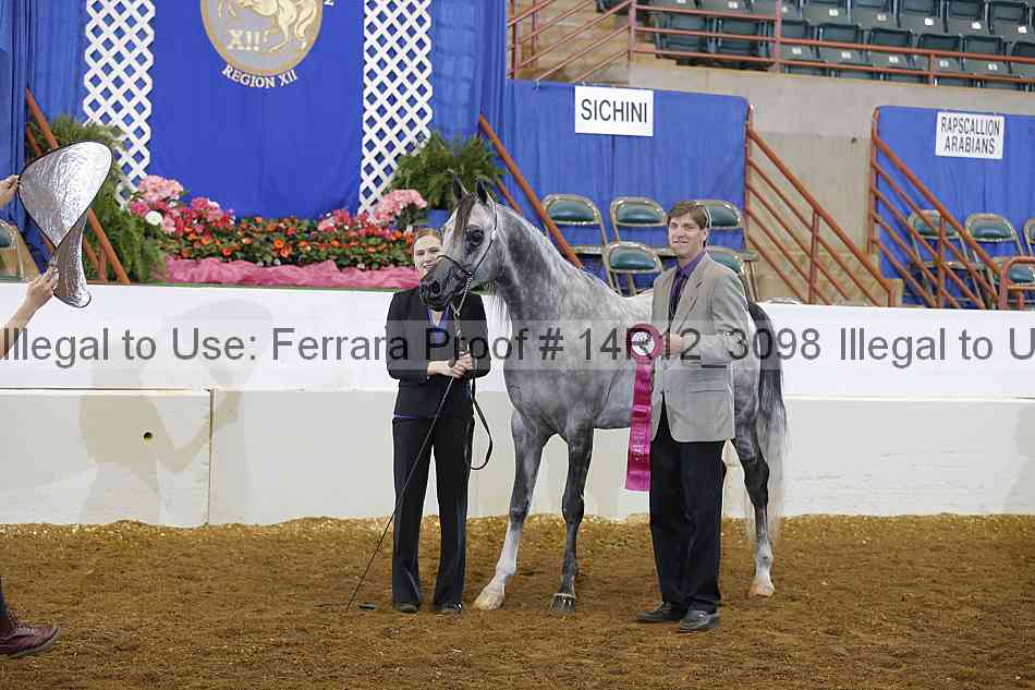 Proof Number 14r12_3098