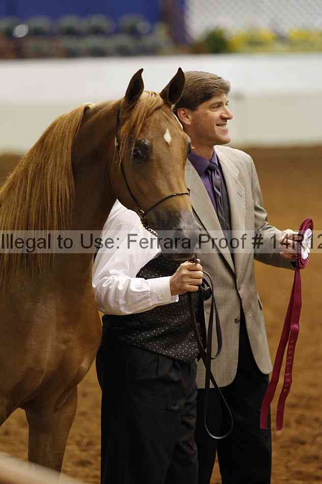 Proof Number 14r12_3099