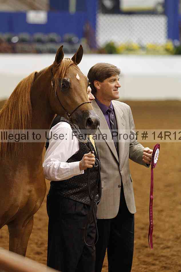 Proof Number 14r12_3101