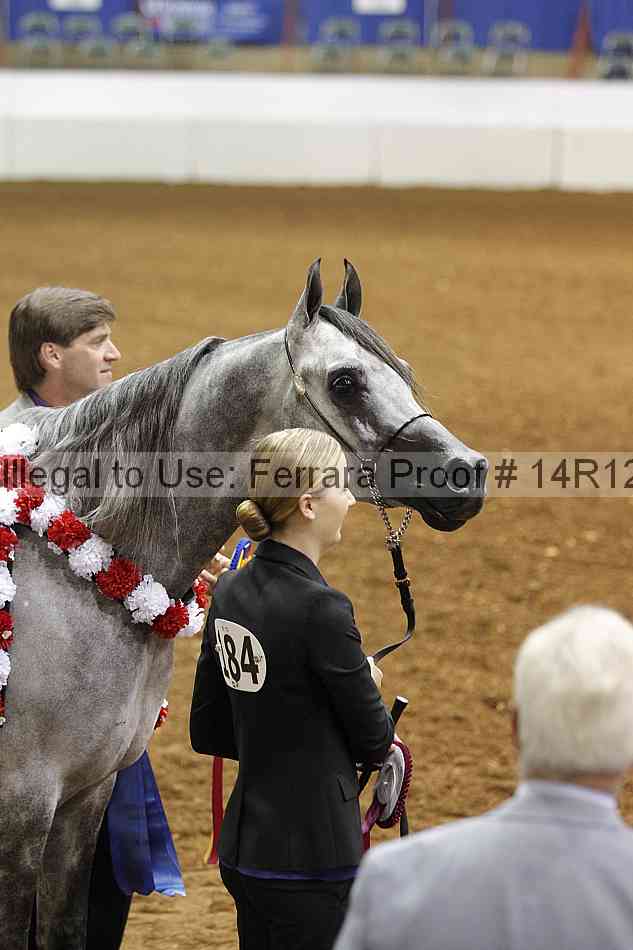 Proof Number 14r12_3114