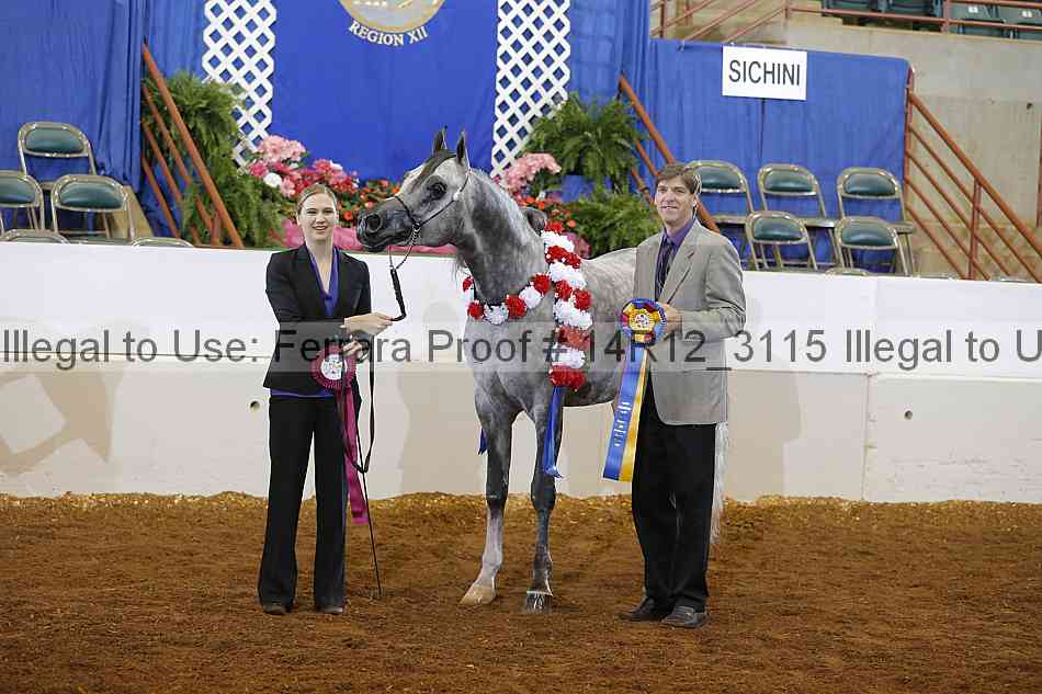 Proof Number 14r12_3115
