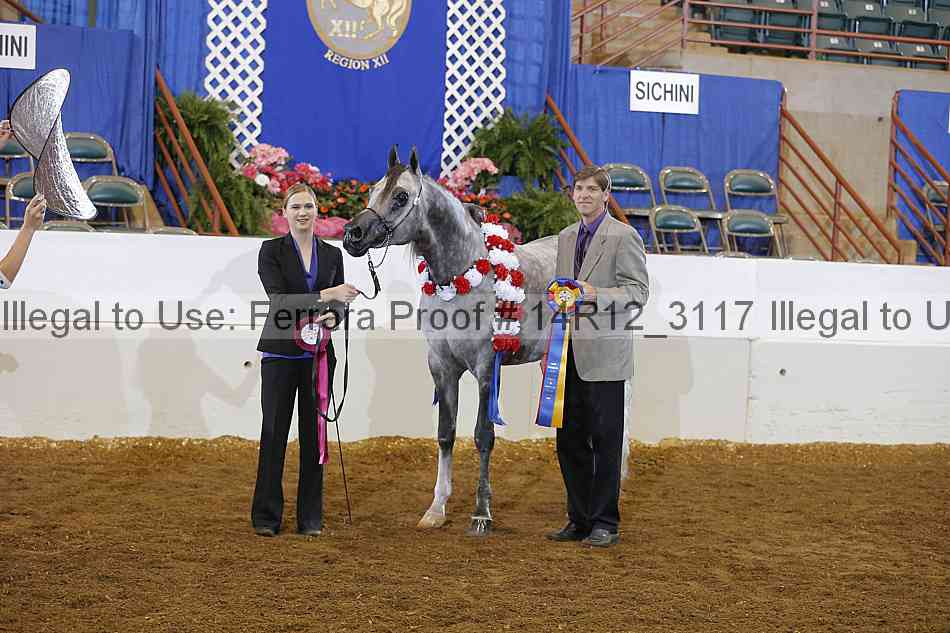 Proof Number 14r12_3117