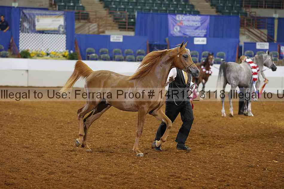 Proof Number 14r12_3118