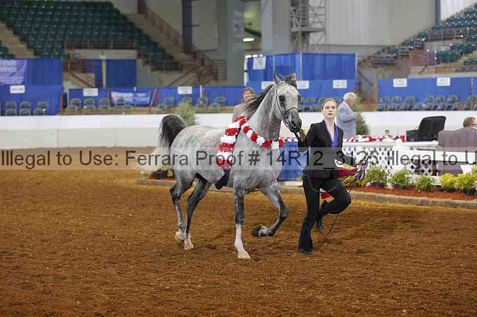 Proof Number 14r12_3125