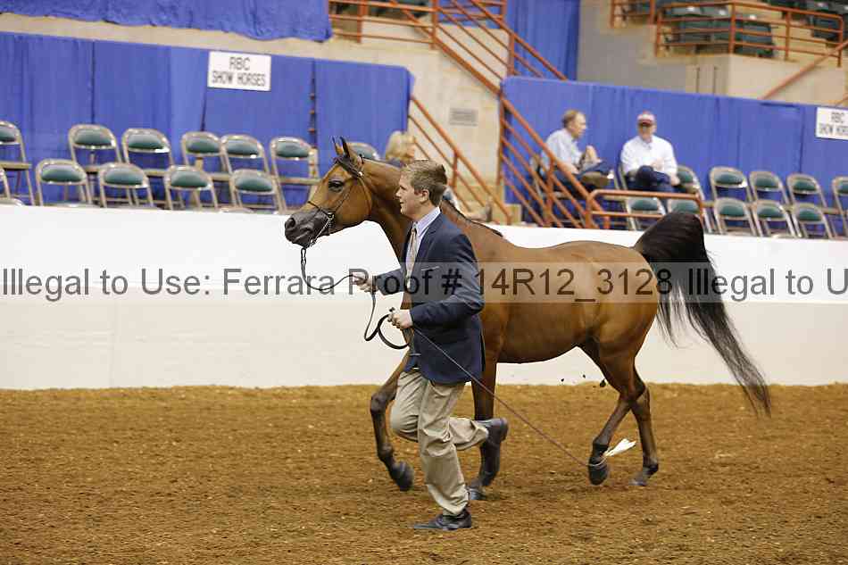 Proof Number 14r12_3128