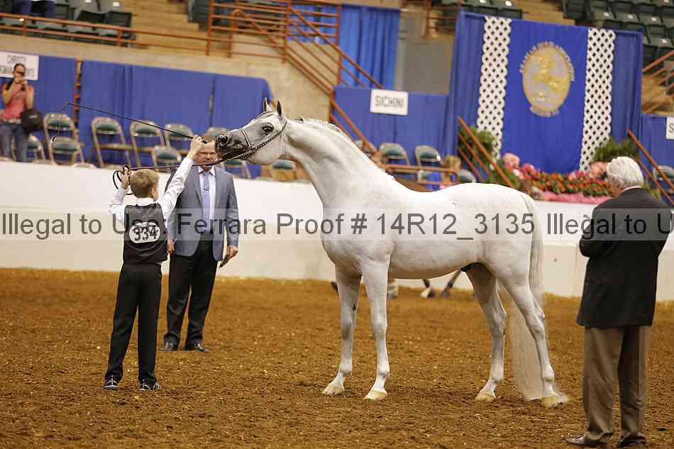 Proof Number 14r12_3135