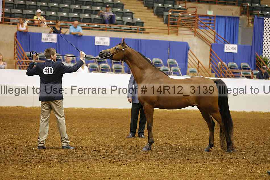 Proof Number 14r12_3139