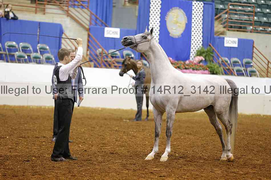 Proof Number 14r12_3142