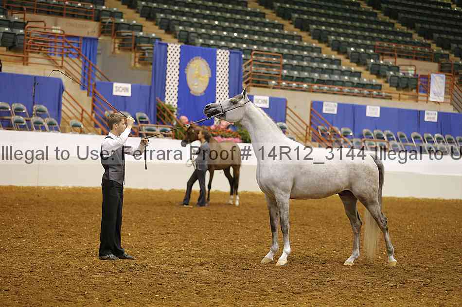 Proof Number 14r12_3144