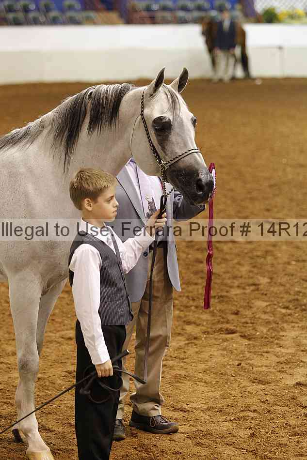 Proof Number 14r12_3150