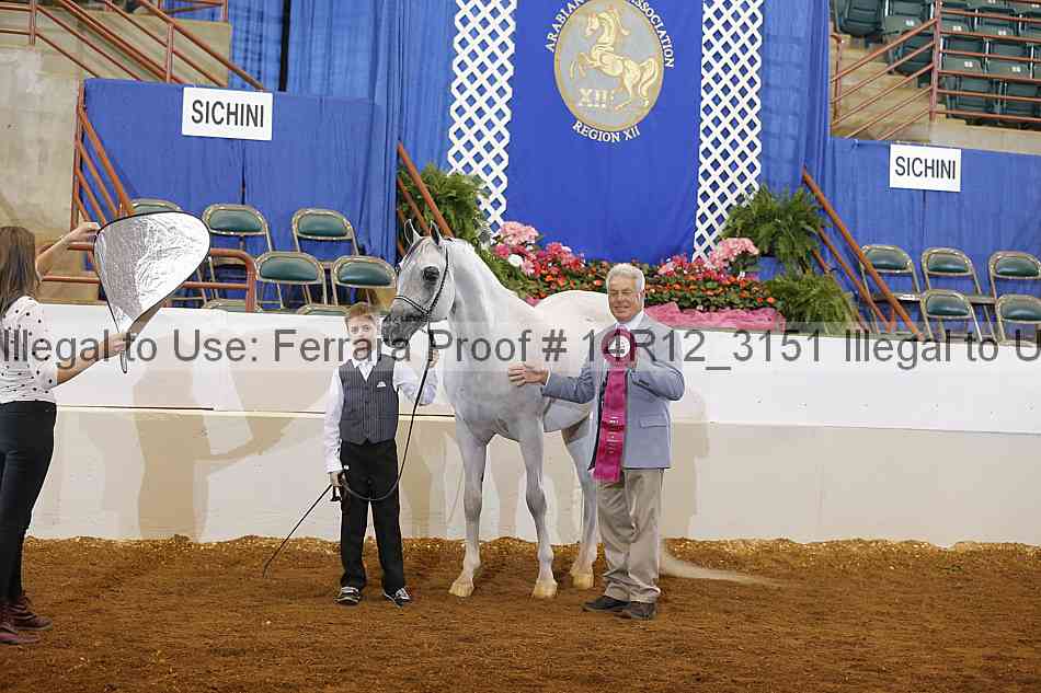 Proof Number 14r12_3151