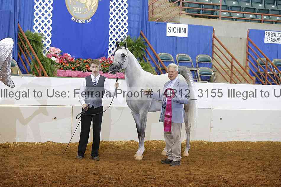 Proof Number 14r12_3155
