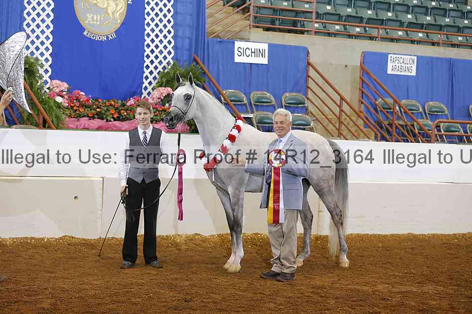 Proof Number 14r12_3164