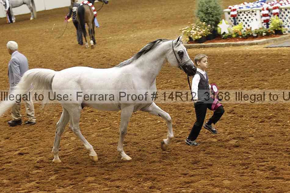 Proof Number 14r12_3168