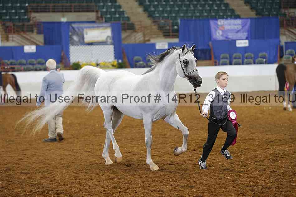 Proof Number 14r12_3169