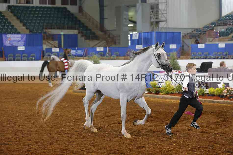 Proof Number 14r12_3170
