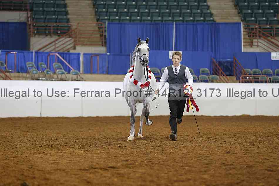 Proof Number 14r12_3173