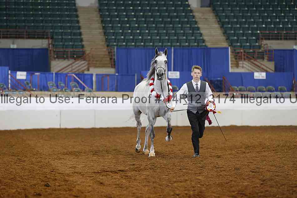 Proof Number 14r12_3174