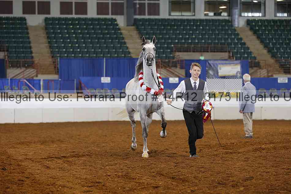 Proof Number 14r12_3175