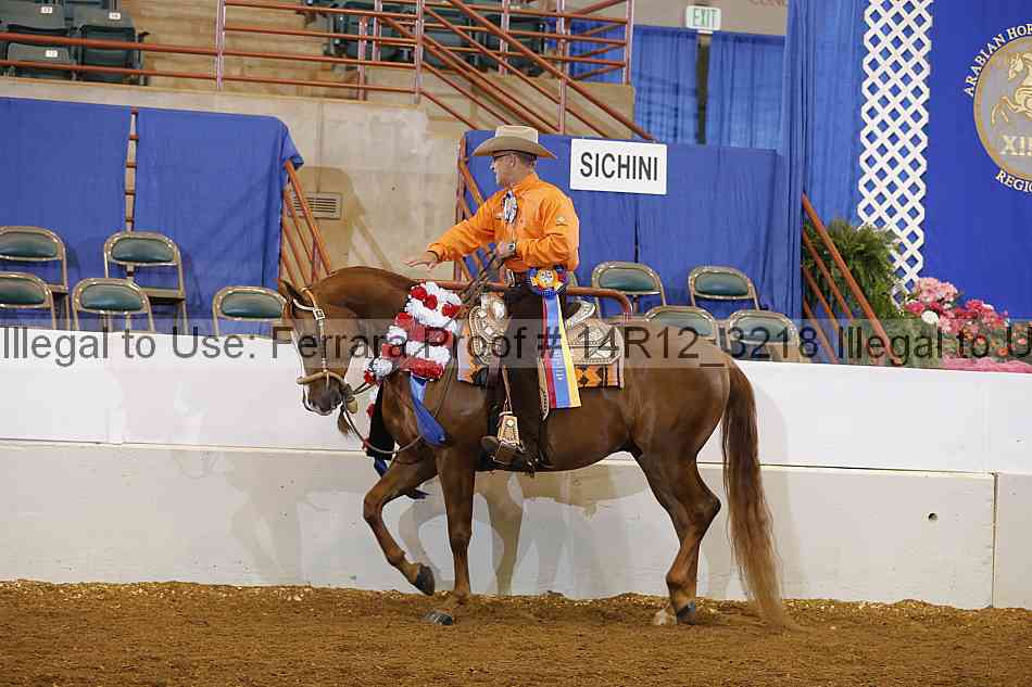 Proof Number 14r12_3218