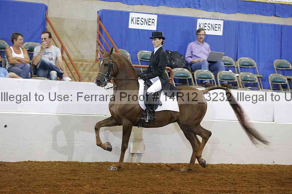 Proof Number 14r12_3232