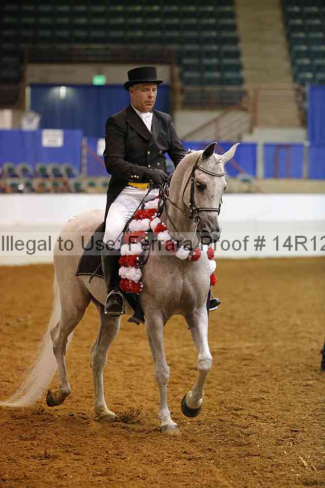 Proof Number 14r12_3251