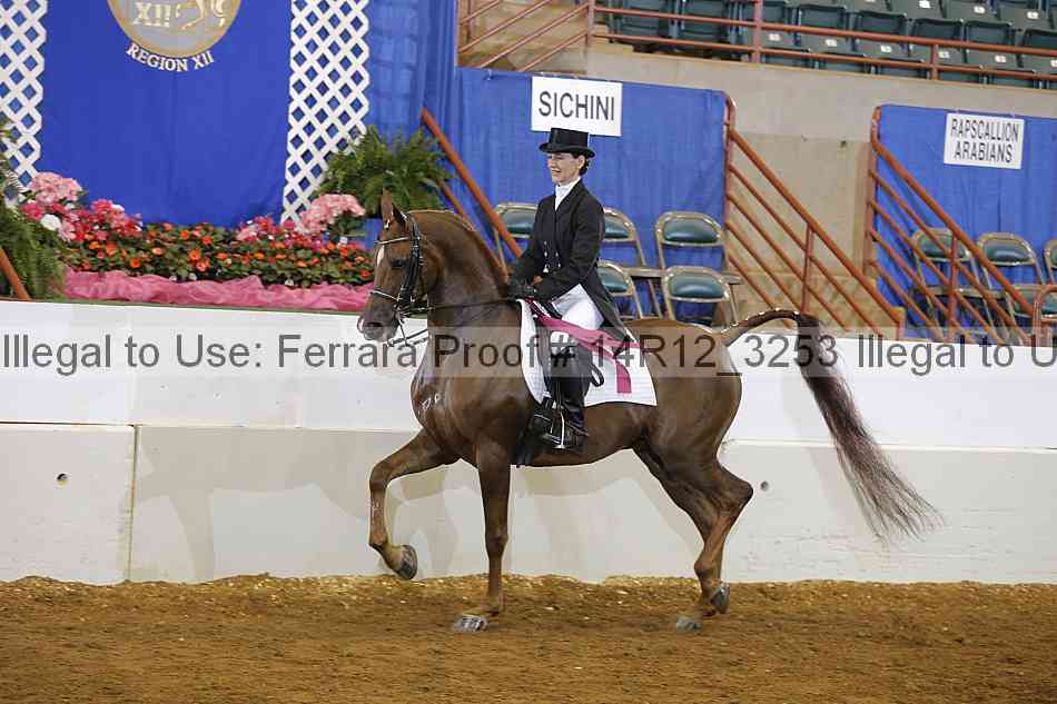 Proof Number 14r12_3253