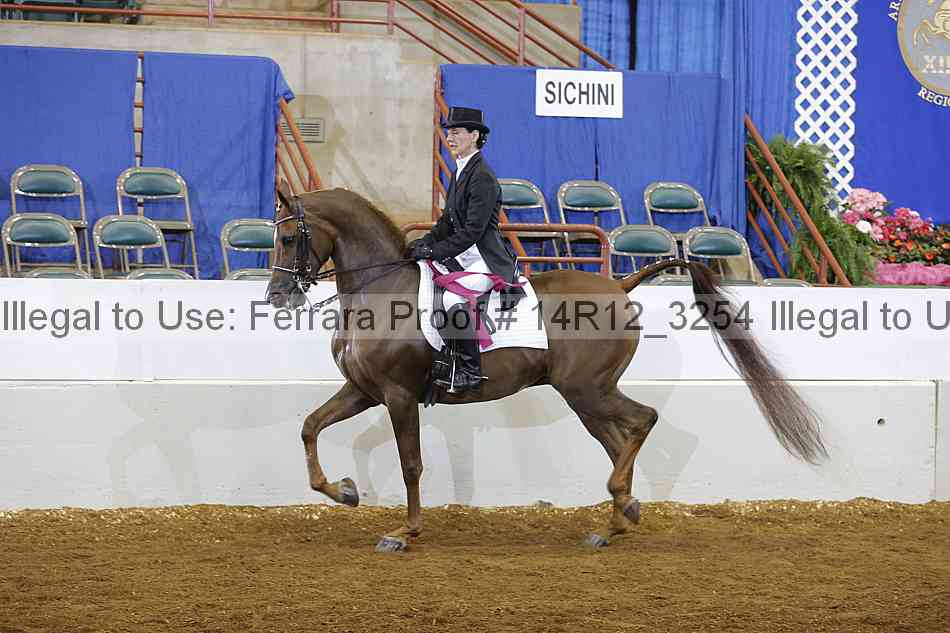 Proof Number 14r12_3254