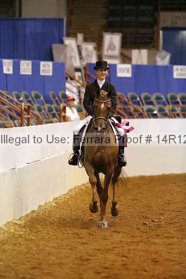 Proof Number 14r12_3255
