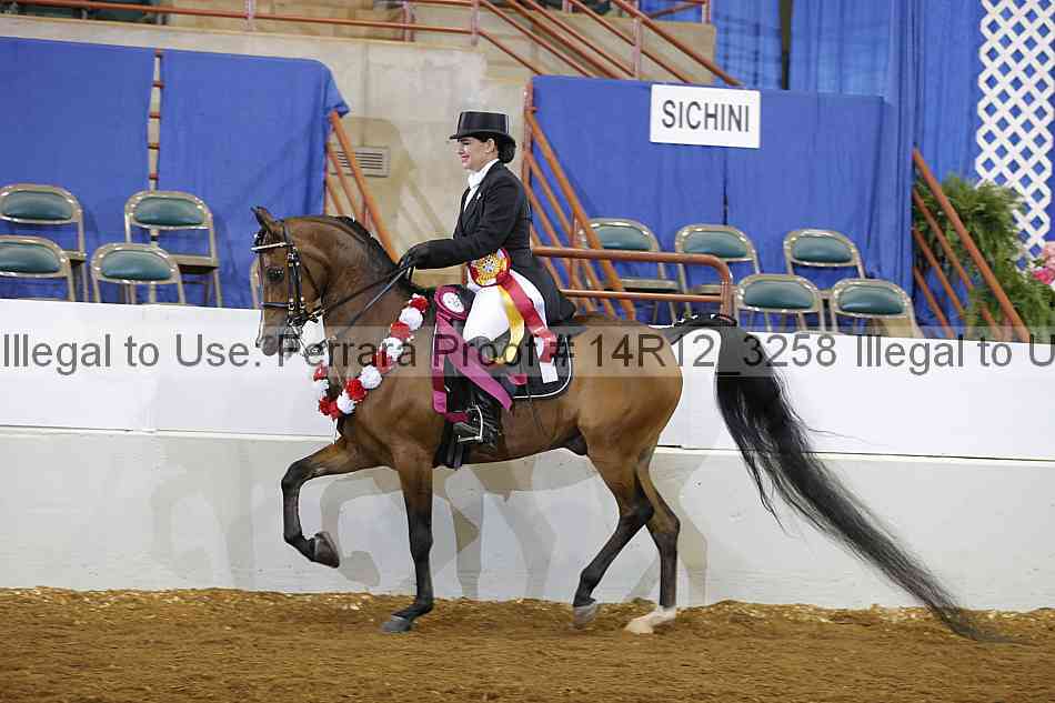 Proof Number 14r12_3258