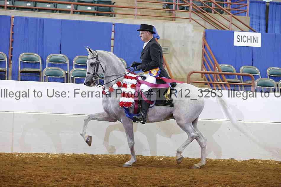 Proof Number 14r12_3263