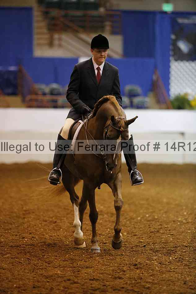 Proof Number 14r12_3295