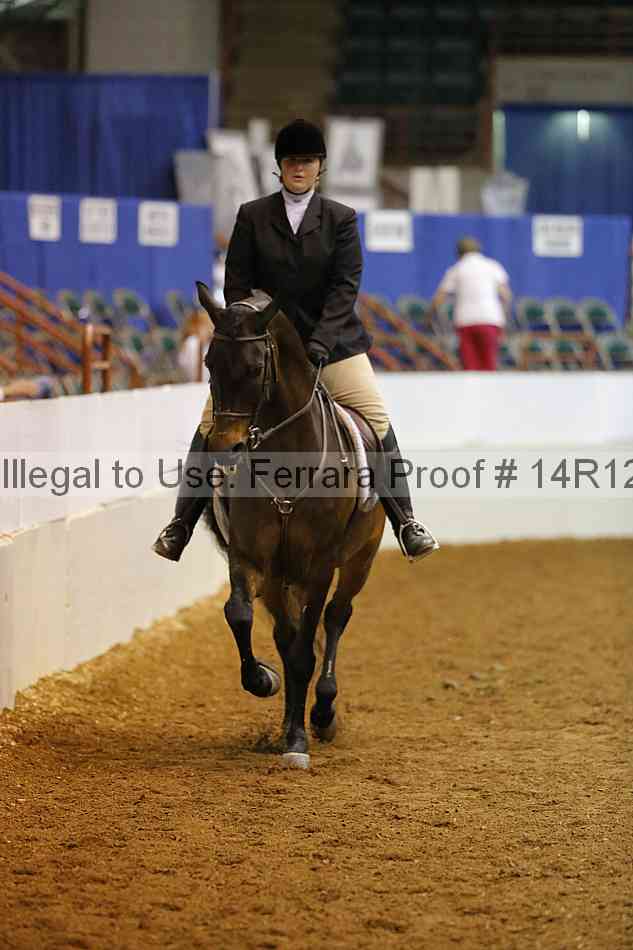 Proof Number 14r12_3305
