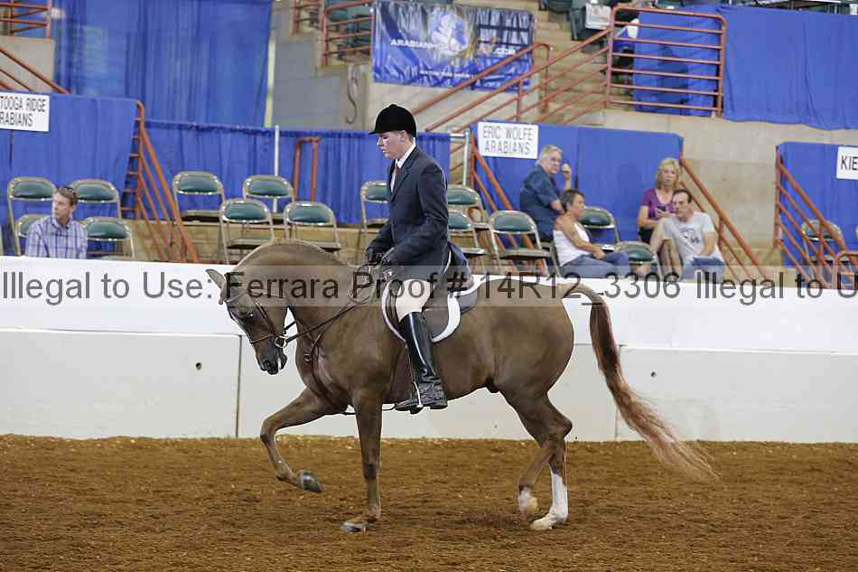 Proof Number 14r12_3306