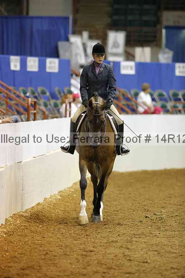 Proof Number 14r12_3308