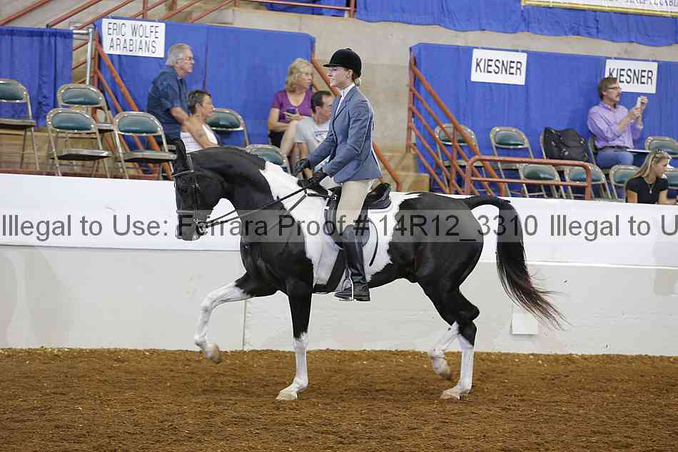 Proof Number 14r12_3310
