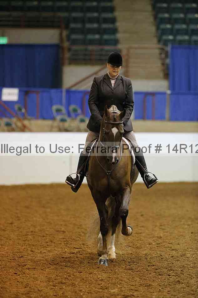 Proof Number 14r12_3311