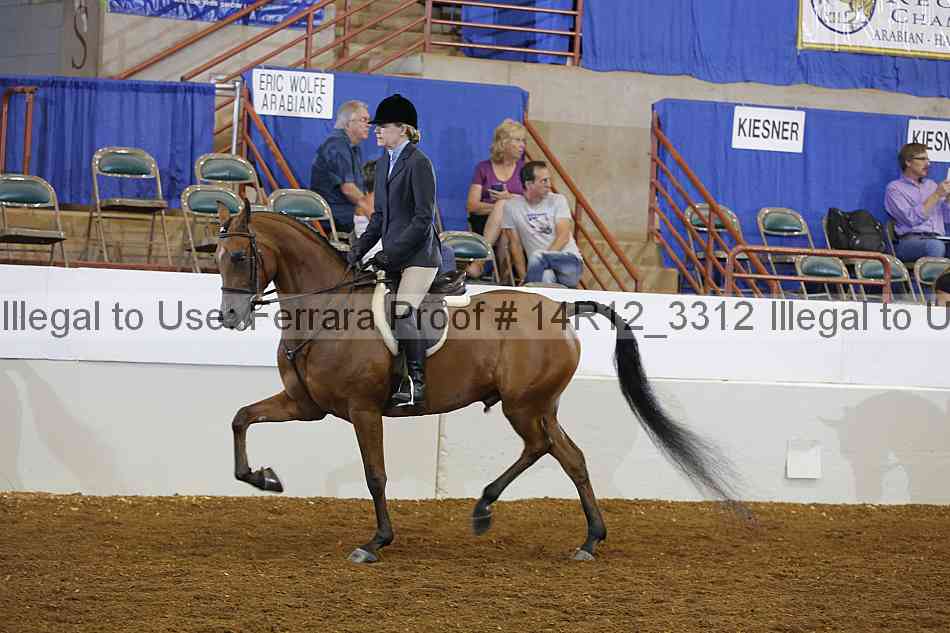 Proof Number 14r12_3312