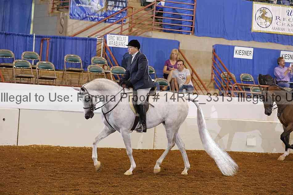 Proof Number 14r12_3313