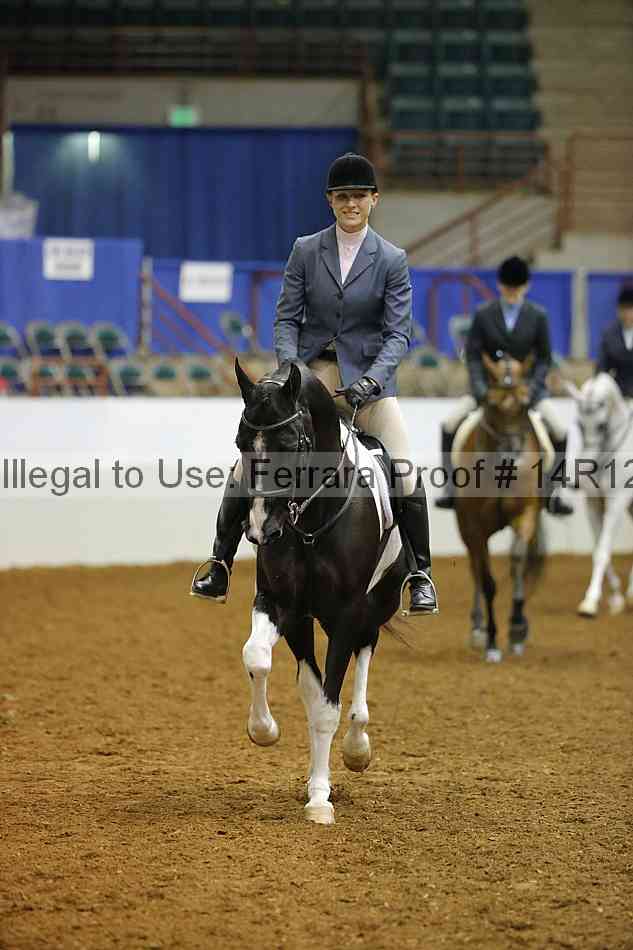 Proof Number 14r12_3318